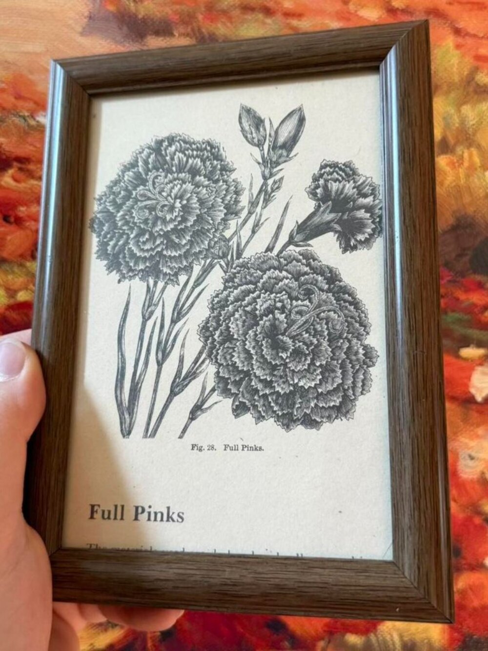 Framed Black Linework Flower Print "Full Pinks" 5x7 Glass Front